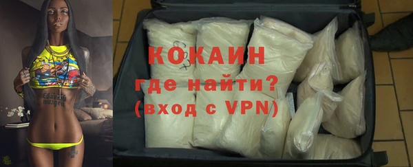 сатива Гвардейск