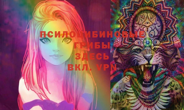тгк Абинск